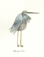 Load image into Gallery viewer, White faced heron original drawing