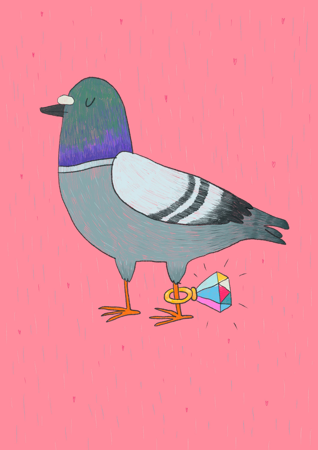 Ringed Pigeon Card
