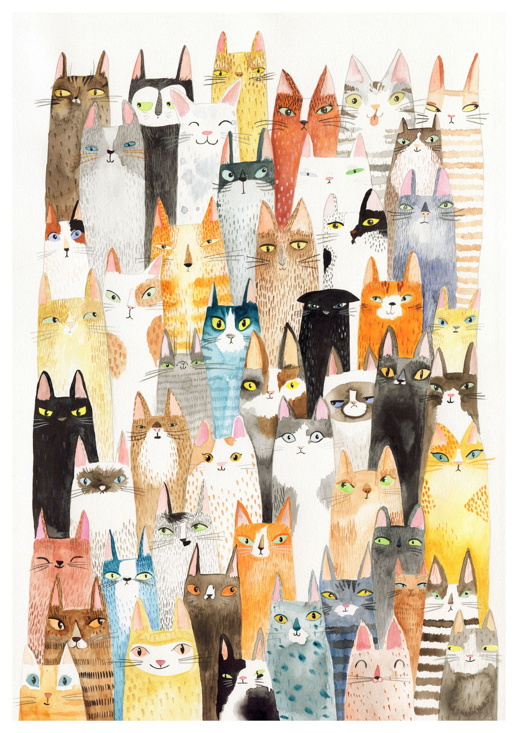 Cats Cat Print